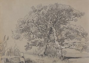 Kuzey Stoke. 21.1834. by Edward Lear